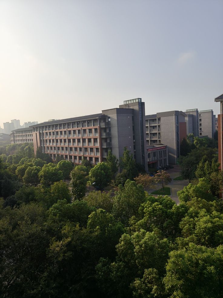 Jiangsu University International Student Graduation